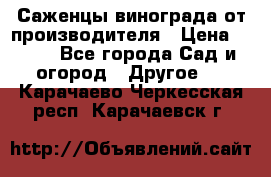 Саженцы винограда от производителя › Цена ­ 800 - Все города Сад и огород » Другое   . Карачаево-Черкесская респ.,Карачаевск г.